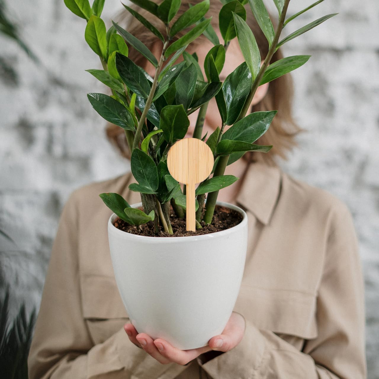 VICASKY 20Pcs Miniature Wooden Plant Labels - Round Head Garden Markers for Flowers, Herbs & Potted Plants, Indoor & Outdoor Decor (3.93 x 1.57 Inch, Wooden Sign Tags)