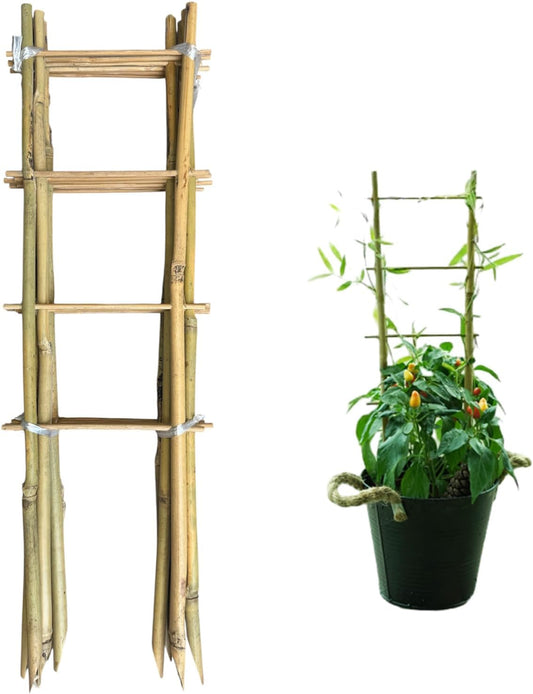 Natural Bamboo Trellis 16inch for Climbing Plants 6 Pack - Plant Ladder Trellis with Garden Ties, Outdoor Decorative Plant Support Stakes for Vines Flowers Vegetables (Ladder-Shape)