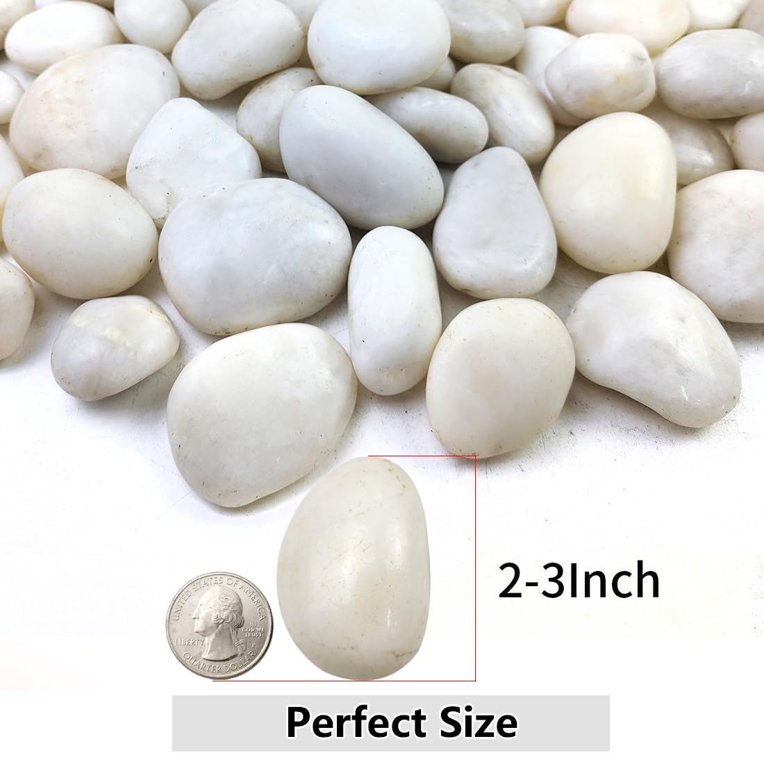 5lbs White River Rocks, 2-3 Inch Natural Pebbles for Indoor Plants, High Polished Decorative Stones Vase Filler Fish Tank Aquariums Landscaping Garden Outdoor and Indoor DIY