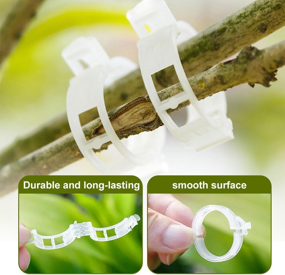 100 PCS Secured Plastic Plant Clip, Plant Support Clips, Garden Clips for Climbing Plants, Plastic Trellis Clips Plant Support Clips Tomato Grape Vine Vegetables Plant Fixing Clips (100, Green)