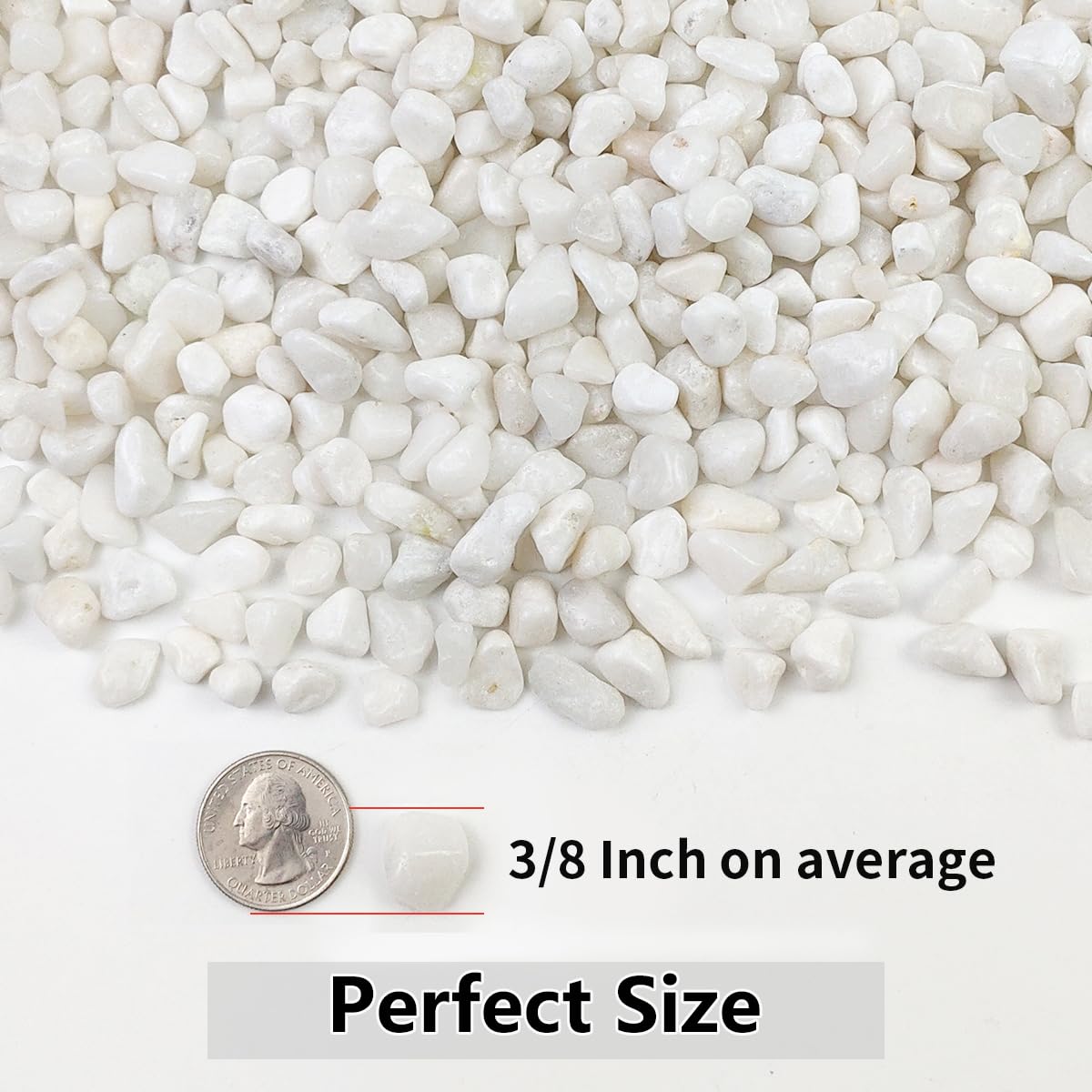 10LB Succulent and Cactus Gravel Pebbles, 3/8 Inch Natural Decorative Polished Stones, River Rocks for Plants, Vases, Aquariums, Terrarium and Outdoor Gardening, White