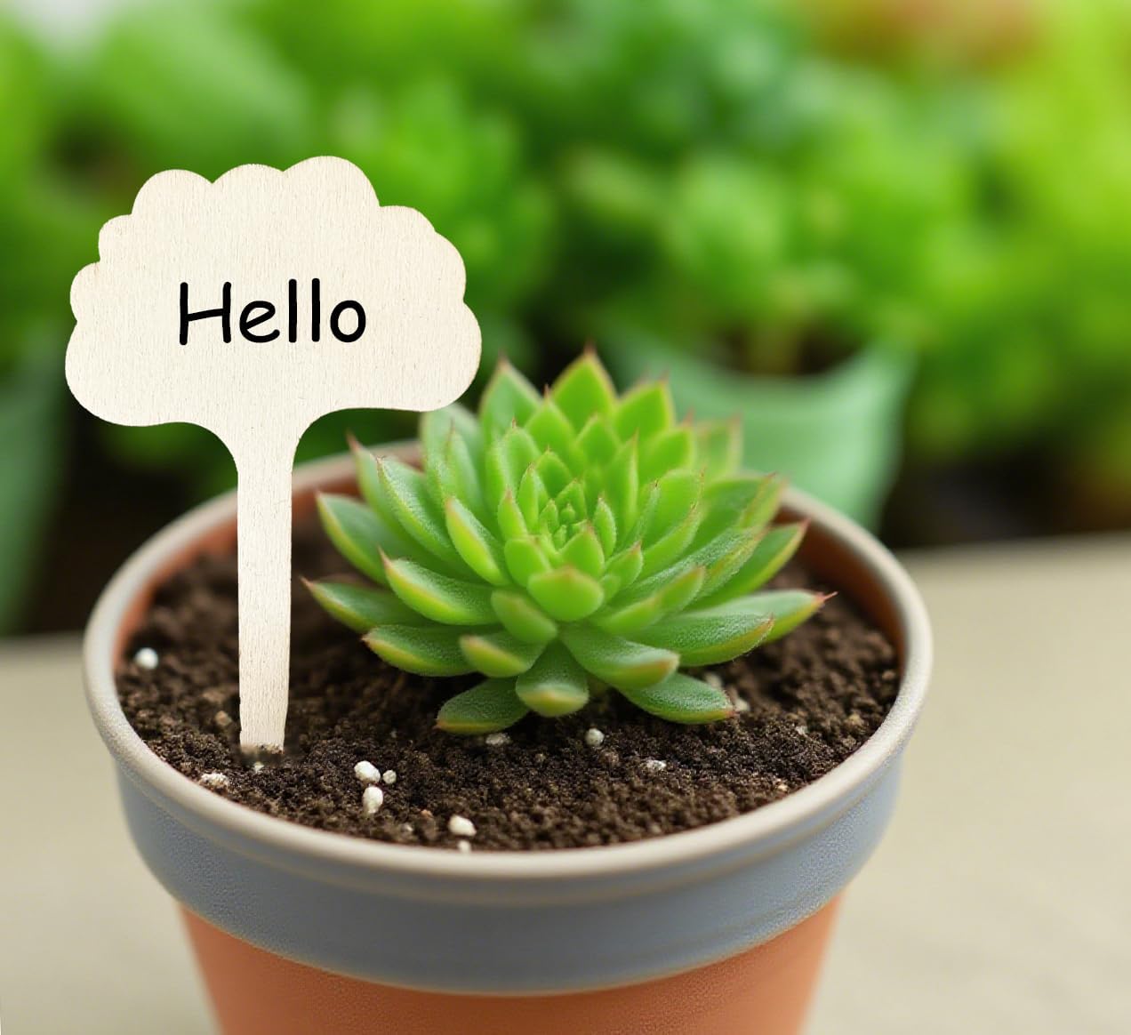 100 Pcs Wood Plant Labels, Natural Wooden Plant Marker Garden Sign Tags, T-Type Garden Markers for Succulents, Herbs, Seedlings, Potted, Flowers, Vegetables (Cloud)