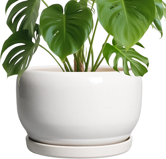 SQOWL Ceramic Pot for Plants - 10 Inch Planter with Drainage Hole and Saucer, Round Ceramic Flower Pot for Indoor Outdoor, Modern Decorative Large Planter, Patio Decor, Gifts for Plant Lovers, White