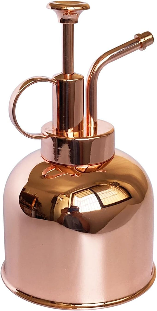 Plant Mister Spray Bottle Stainless steel plant sprayer, small watering can plant spray bottle Modern gardening tools for indoor potted plants watering and spraying