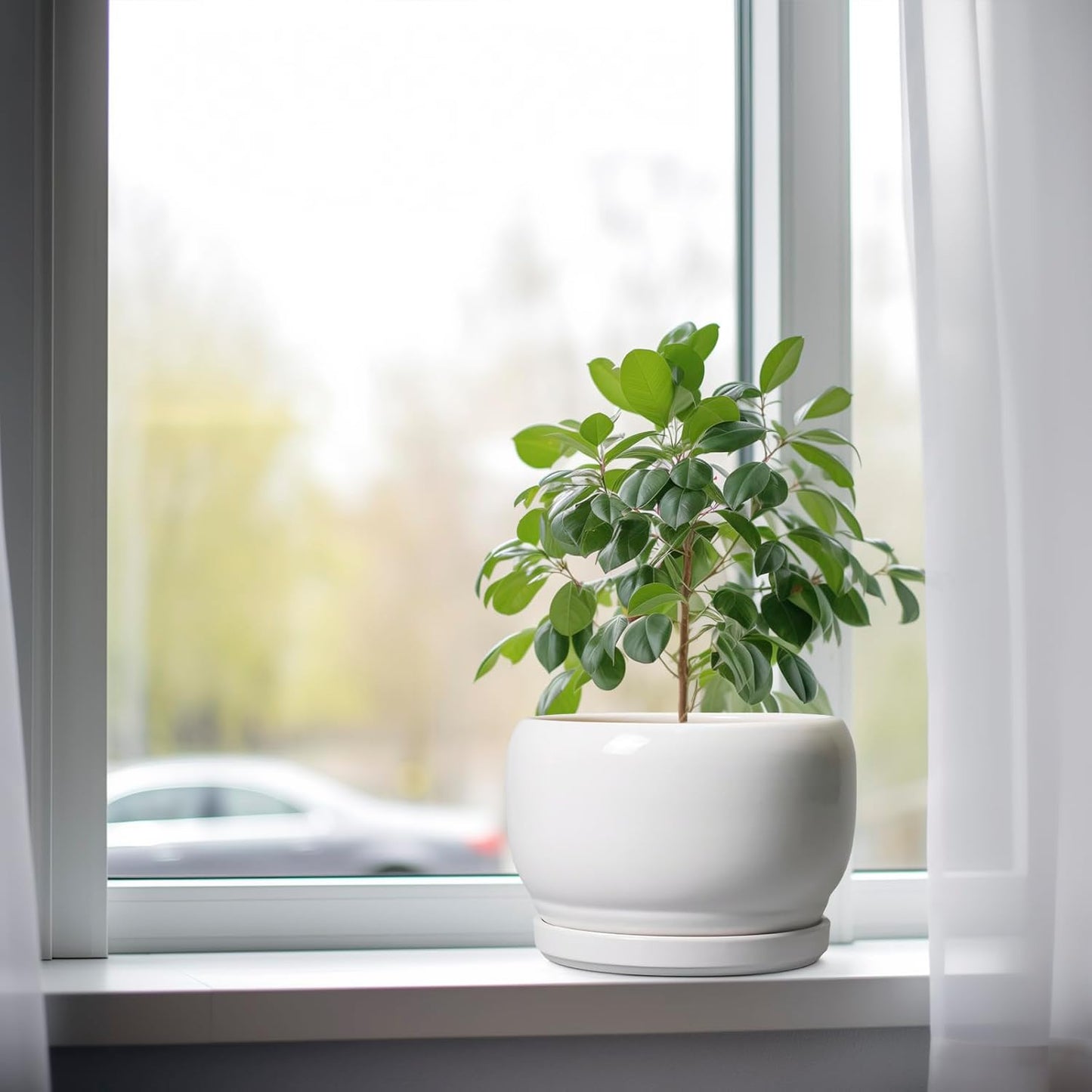 SQOWL Ceramic Planters for Indoor Plants - 8 Inch Plants Pot, Round Outdoor Flower Pot with Drainage Hole and Saucer, Decorative Modern Planter, Kitchen Decor, House Gifts, White