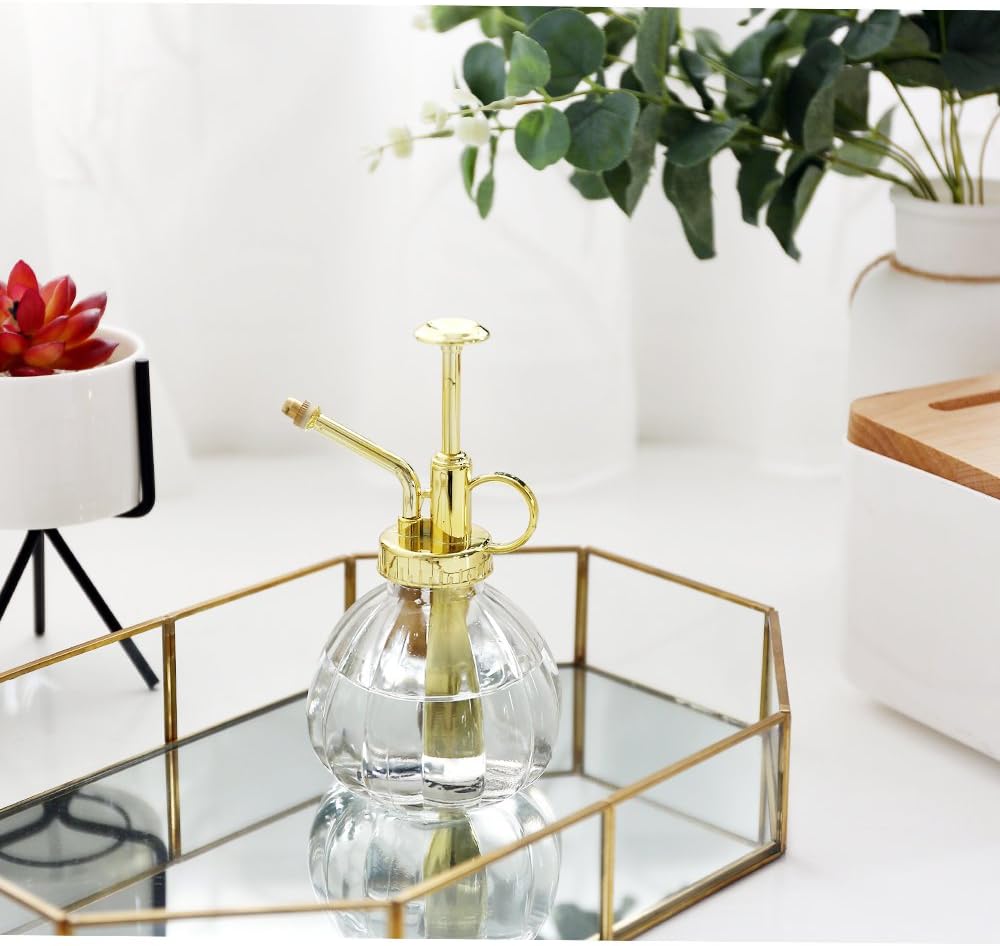 Plant Mister, 6.5" Tall Decorative Glass Water Spray Bottle with Gold Top Pump Small Watering Can by Ebristar - Clear