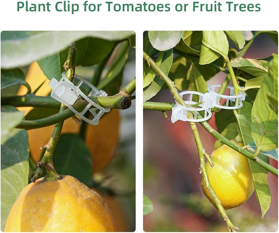 Plant Clips Plant Ties Set, 50 FT Reusable Plant Ties and 100 PCS Support Clips for Climbing Plants Orchid Flower Stems Vines Tomato, Garden Plant Support Cables for Indoor OutdoorPlants