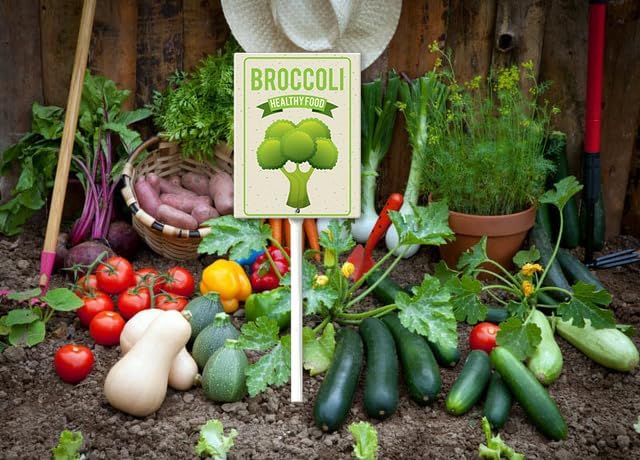 Eveokoki Aluminum Seed & Plant Labels - Plant Markes for Seedlings-Plant Tags for Pots - Garden Signs for Vegetable - Durable Markers for Plants Outdoor Waterproof - Garden Decor for Farmhouse