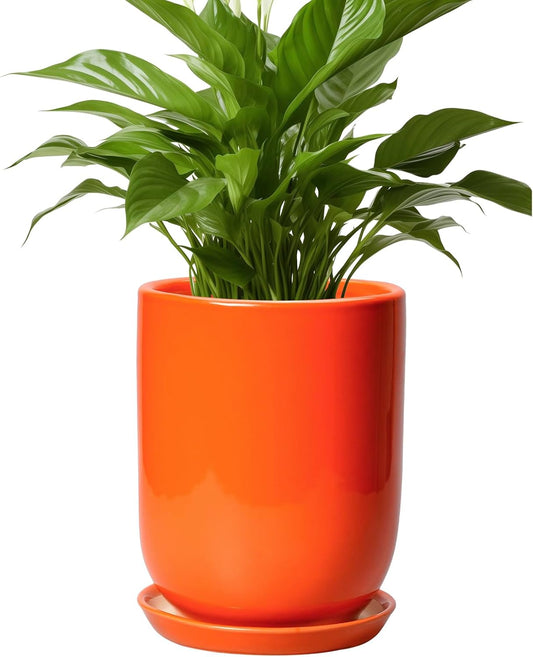 Ceramic Planter - 8 Inch Plant Pot with Drainage Hole and Saucer, Cylinder Round Modern Flower Pot for Indoor Outdoor Plants, Plant Lover Gifts, Garden Office Home Decor, Orange