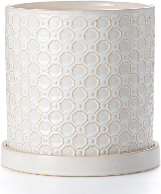 8 Inch Plant Pot: Ceramic Planter with Drainage Hole & Saucer Indoor Outdoor Plants - Cylinder Round Flower Pot for Home Office - Modern Decorative - Medium White