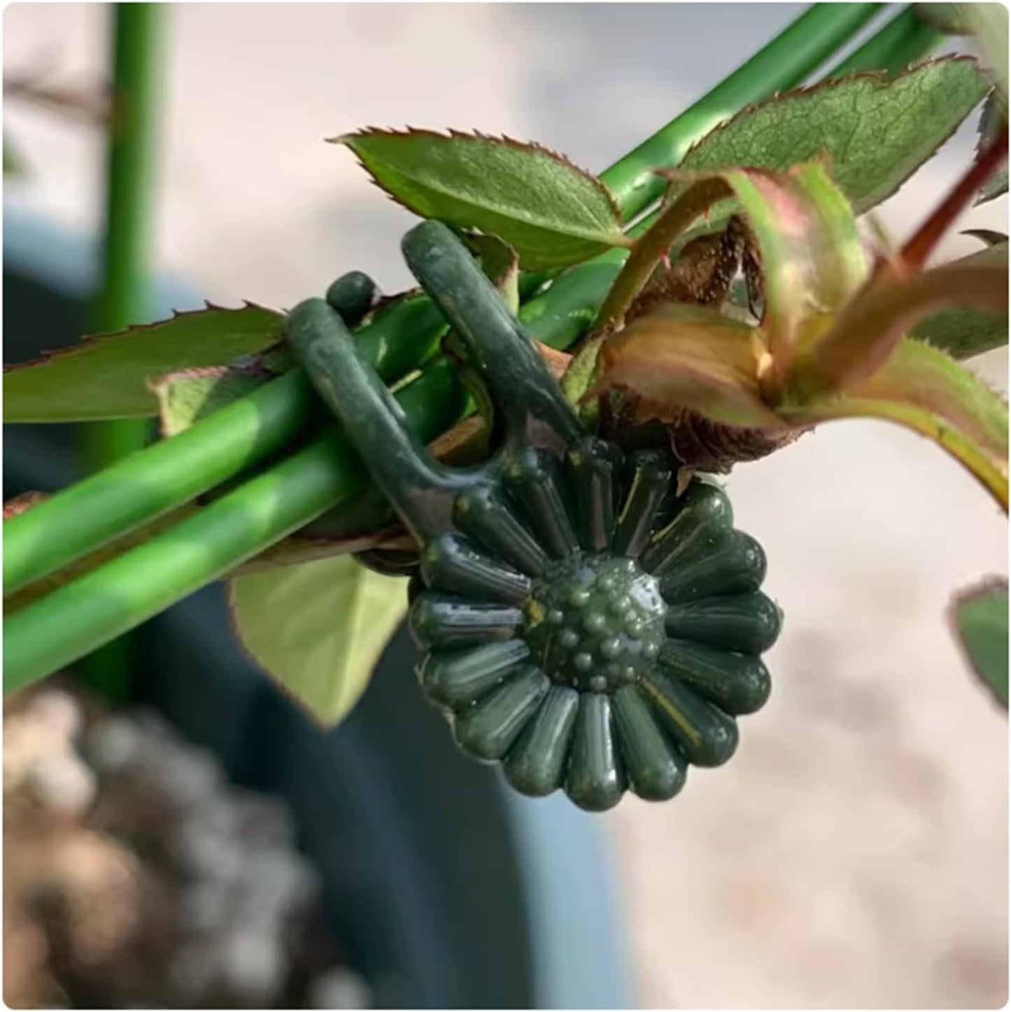 100Pcs Large Plant Clip,Daisy Garden Flower Plant Clip,for Orchids Vine Clip Support Stem Vine Upright Growth (Green)