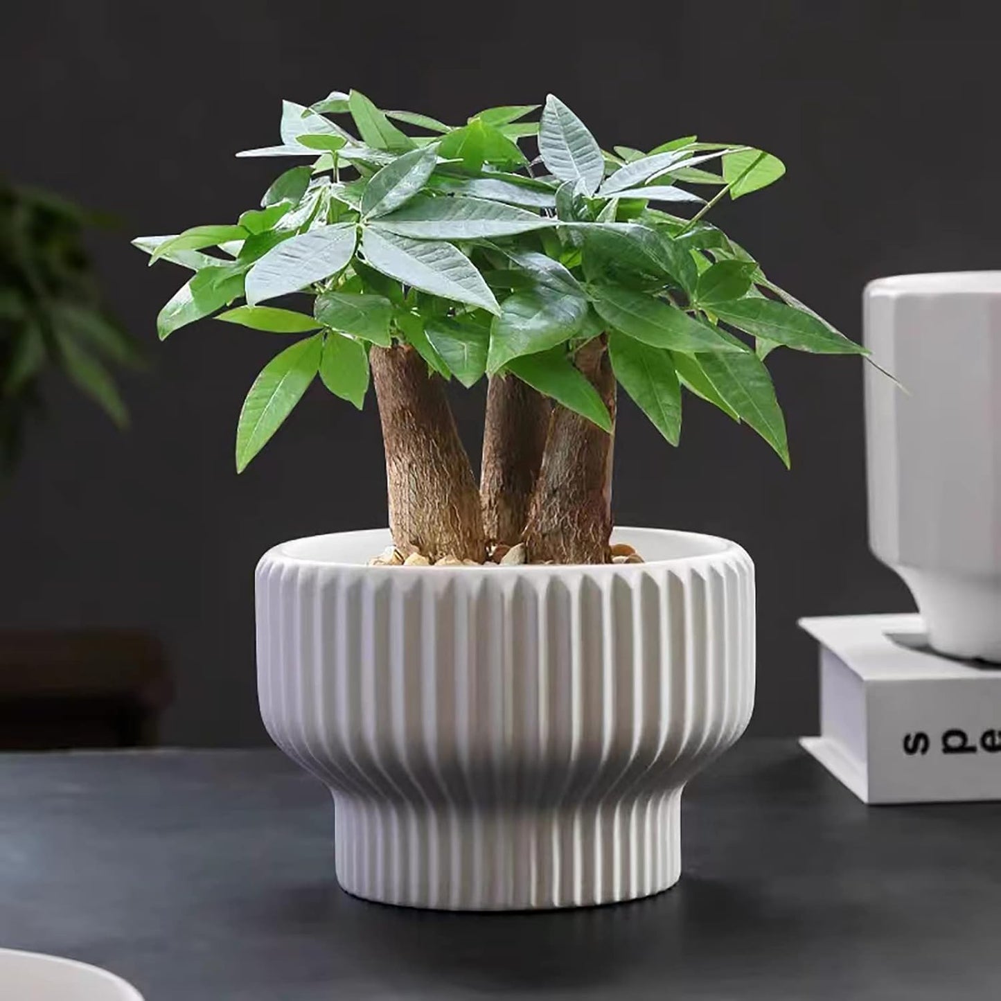 Puoyik 2 Piece Set of Flower Pots 8/6 inches, Ceramic Flower Pots with Drainage Holes, Indoor and Outdoor Plant Flower Planter (7.8/5.9 White)