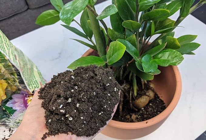 Premium ZZ Plant Expert-Grade Soil - Fast-Draining Formula Ensuring Long-Lasting Plant Vitality - 10 QUARTS