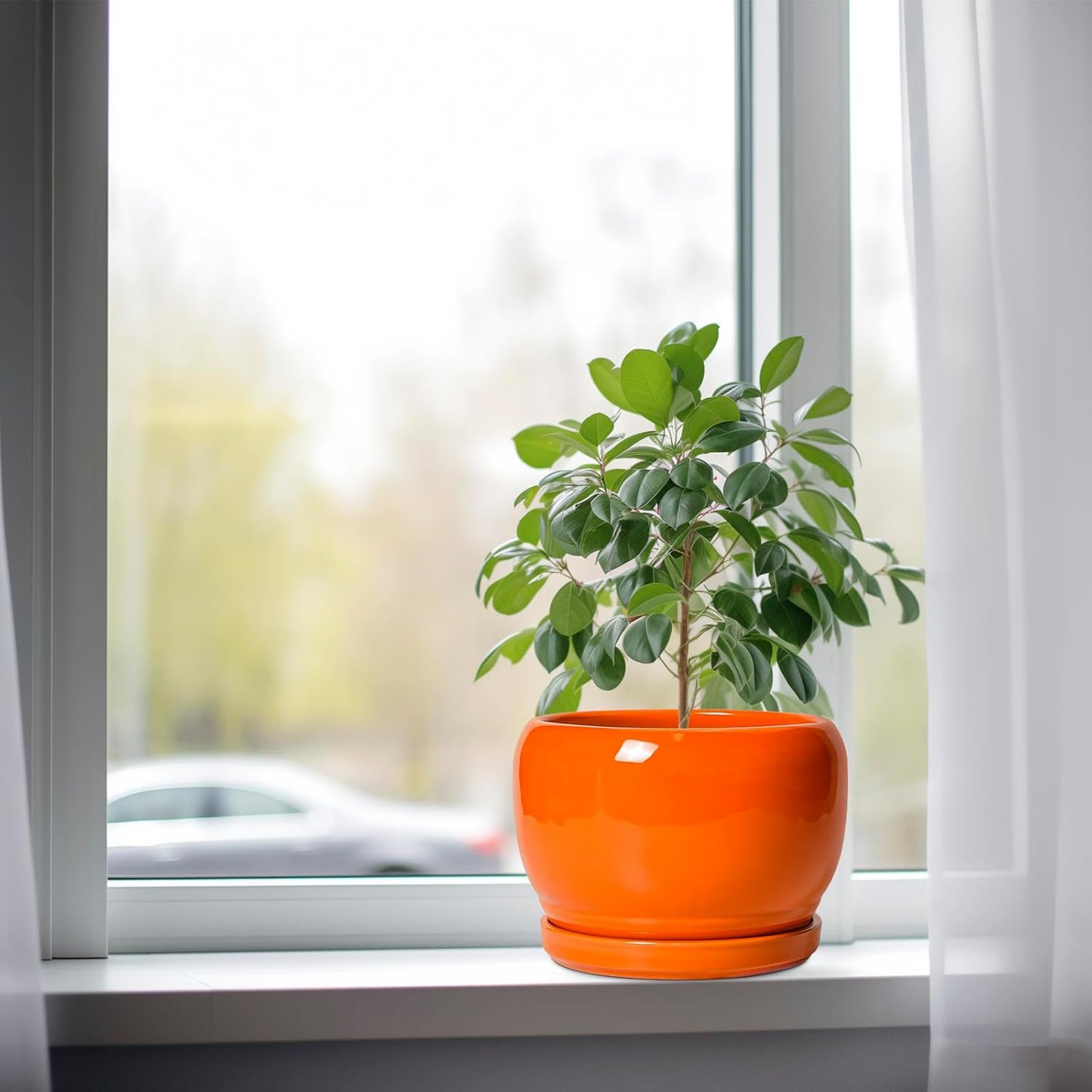 SQOWL Ceramic Pot for Plants - 8 Inch Plant Pot Indoor Outdoor, Modern Round Planter with Drainage Hole and Saucer, Decorative Planter for Flower, Office Decor, Garden Gifts for Women, Orange