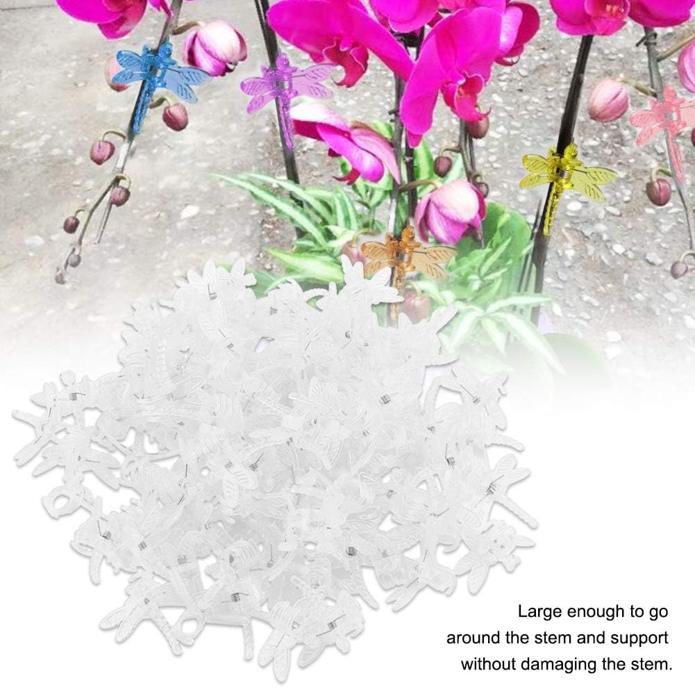 Watris Veiyi 100Pcs Plant Orchid Clips, Garden Plant Support Clip, Dragonfly Orchid Clips, Portable Cute Flower Vine Clips(Transparent)