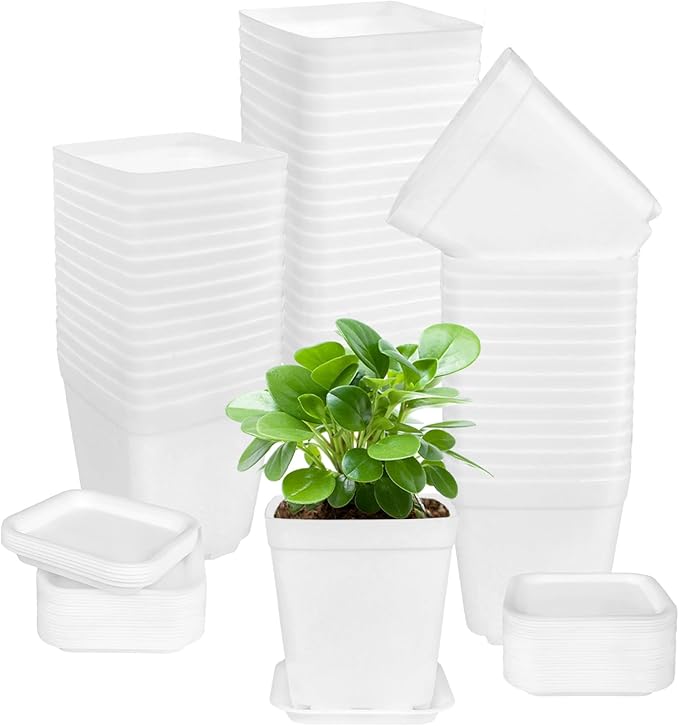 OJYUDD 72 Pcs 3 Inch White Square Plastic Pots with Saucer,White Plastic Plant Seedling Pots,Seedling Nursery Pots Indoor Outdoor for Succulents/Plant,Garden,Office and Balcony Decor