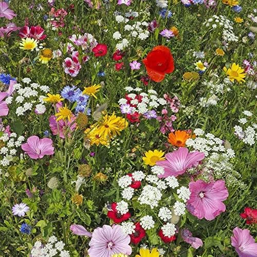 Pollinator Wildflower Seeds Bulk – 5 lb, 3.2 Million+ Seeds – 23 Variety Mix for Hummingbirds & Butterflies – Non-GMO Annual & Perennial Flower Seed for Planting