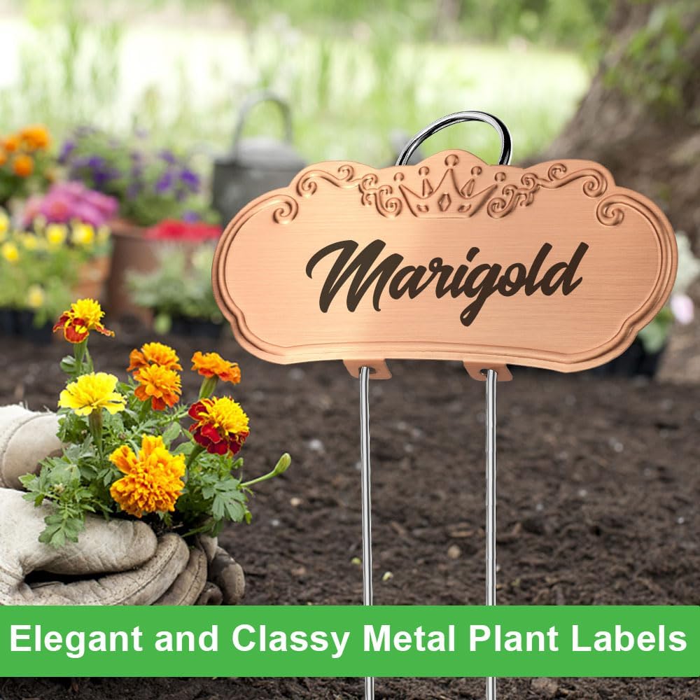 Metal Plant Labels,Tall Outdoor Garden Markers for Flower, Fruit and Vegetable, 304 Stainless Steel Weatherproof Signs (25 Packs, 4" x 1.9", Gold)