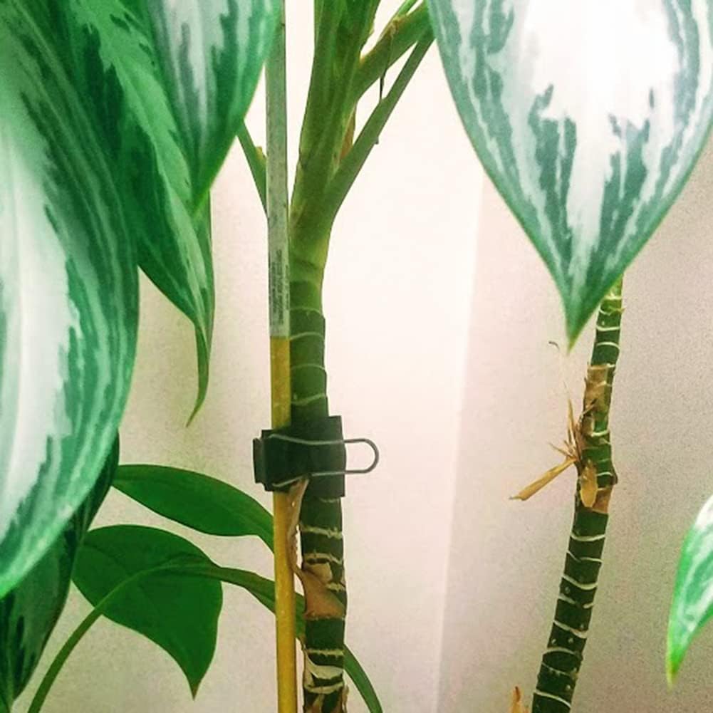 Cable Management Clips: Versatile Reusable Cord Holders for Christmas Lights, Holiday Decor, and Outdoor String Lights - 18 Pack Small, Medium, and Large Green