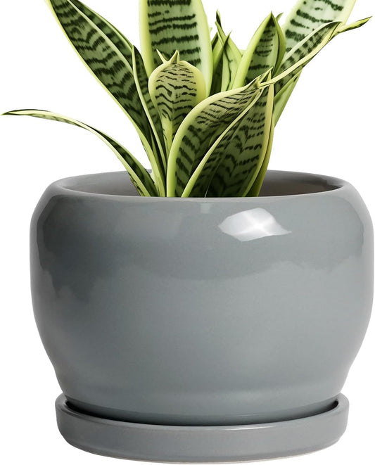 SQOWL 6 Inch Plant Pots - Ceramic Planter with Drainage Hole and Saucer, Round Ceramic Flower Pot Indoor Outdoor, Modern Succulent Planter, Bathroom Decor, Gifts for Plant Lovers, Grey