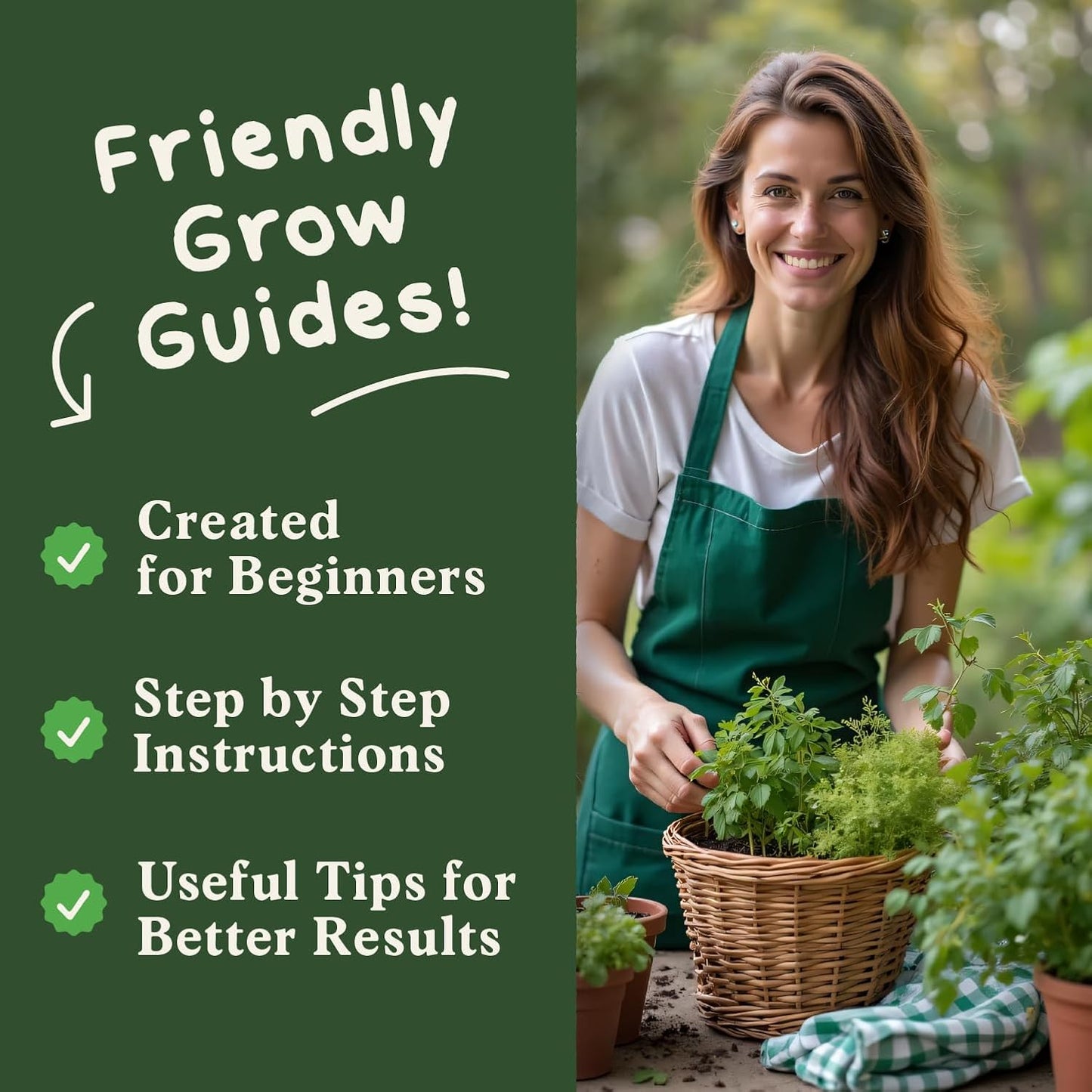 Seedboy Organic 5 Herb Variety Pack: Basil, Mint, Rosemary, Parsley, Cilantro for Planting Indoor and Outdoor, Non-GMO and USDA Certified Seed Packets (5 Herb Variety Pack)