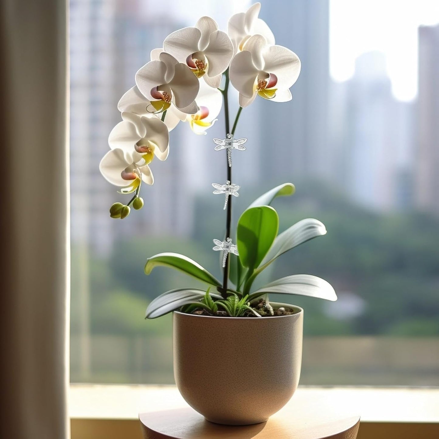 Wenqik 100 Pcs Orchid Clips Dragonfly Plant Clips for Plants Support, Portable Plastic Clear Garden Plant Support Clips Vine Clips for Orchid Climbing Plants