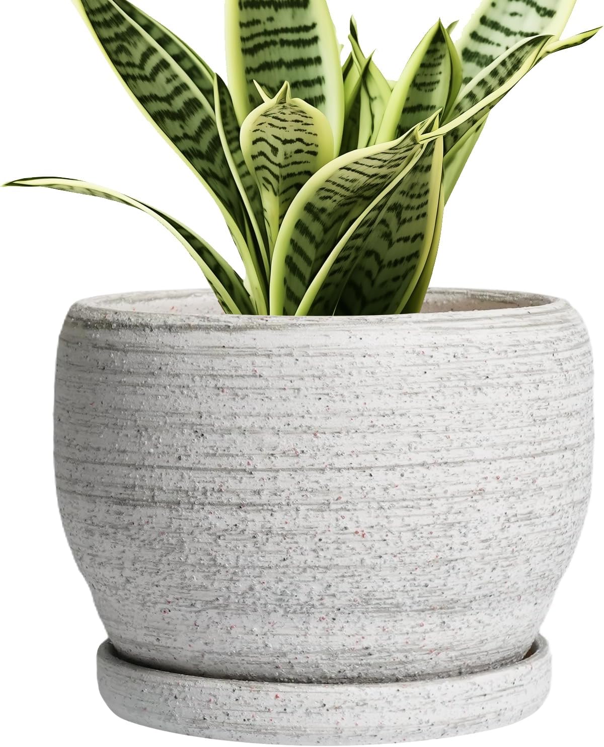 SQOWL Ceramic Planters for Indoor Plants - 6 Inch Plant Pot with Drainage Hole and Saucer, Small Ceramic Flower Pot, Round Decorative Planter Outdoor, Living Room Decor, Garden Gifts for Women, Gray