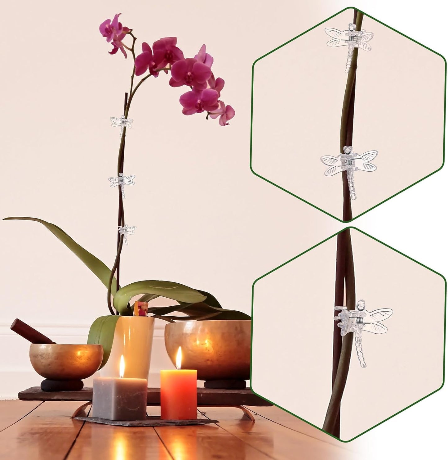 Wenqik 100 Pcs Orchid Clips Dragonfly Plant Clips for Plants Support, Portable Plastic Clear Garden Plant Support Clips Vine Clips for Orchid Climbing Plants