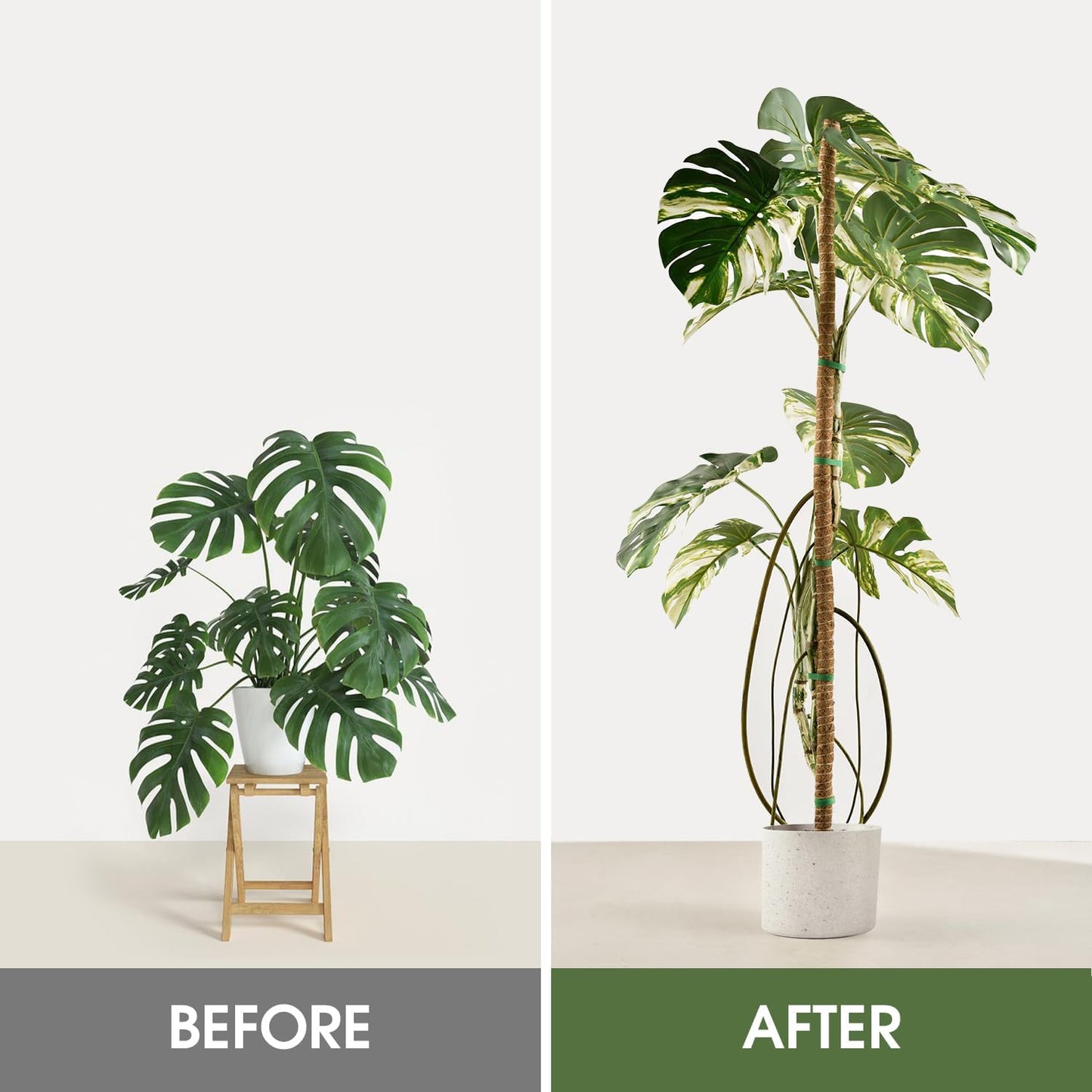 Moss Pole, 63 Inch Bendable Moss Pole for Plants Monstera, Moss Poles for Climbing Plants, Handmade Coco Coir Pole Plant Sticks Support Plant Stakes for Indoor Plants to Grow Upwards