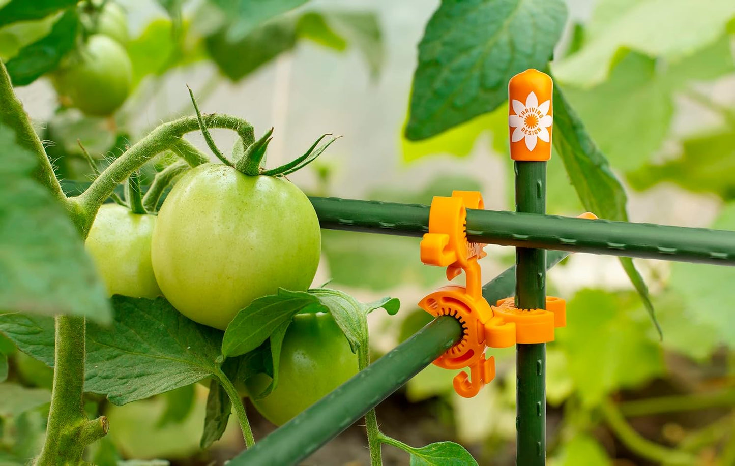 Plant Support Clips for Trellis, Garden Stakes, Wire Fence, Climbing Plants, Indoor Gardening, Hydroponics Systems, and Vines | Durable Gardening Clips (Incognito Green - 100 Pack)