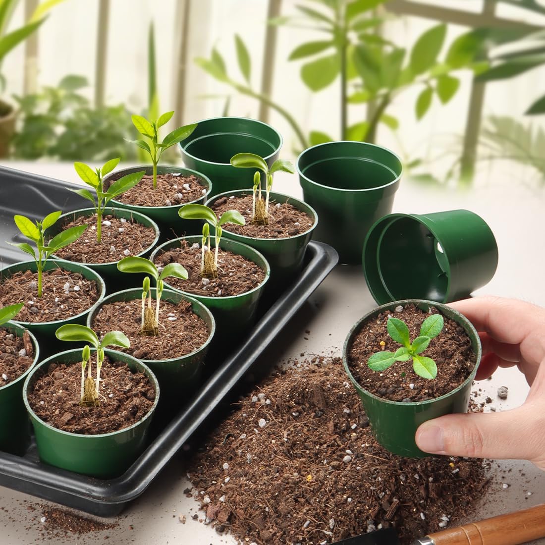 100 Pack 2.5 Inch Small Plant Pots, Plastic Nursery Pots for Plants, Seedling Pots for Planting Seeds, Succulents, Vegetables, Green