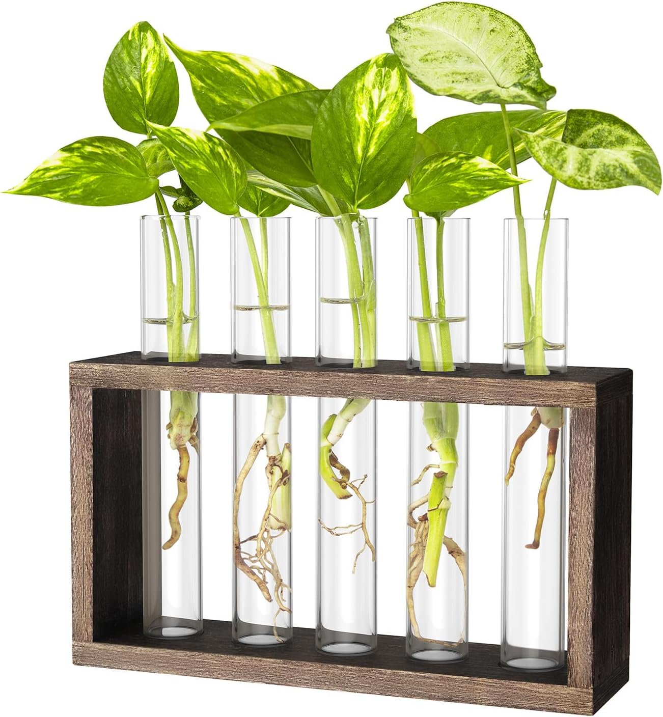 Ivolador Plant Propagation Station Terrariumin Wall Test Tube Vases Bud Tabletop Glass Wooden Stand with 5 Propagation Tubes for Propagating Hydroponic Plants Home Garden Wedding Decoration-Brown