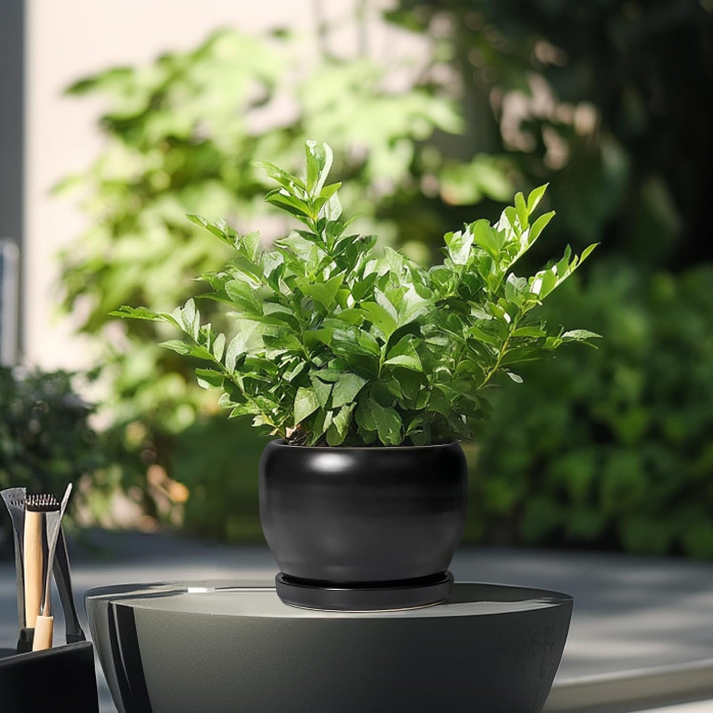 SQOWL Ceramic Plant Pot - 6 Inch Planter for Indoor Plants, Round Flower Pot with Drainage Hole and Saucer, Modern Succulent Planter Outdoor, House Decor, Plant Lovers Gifts, Black