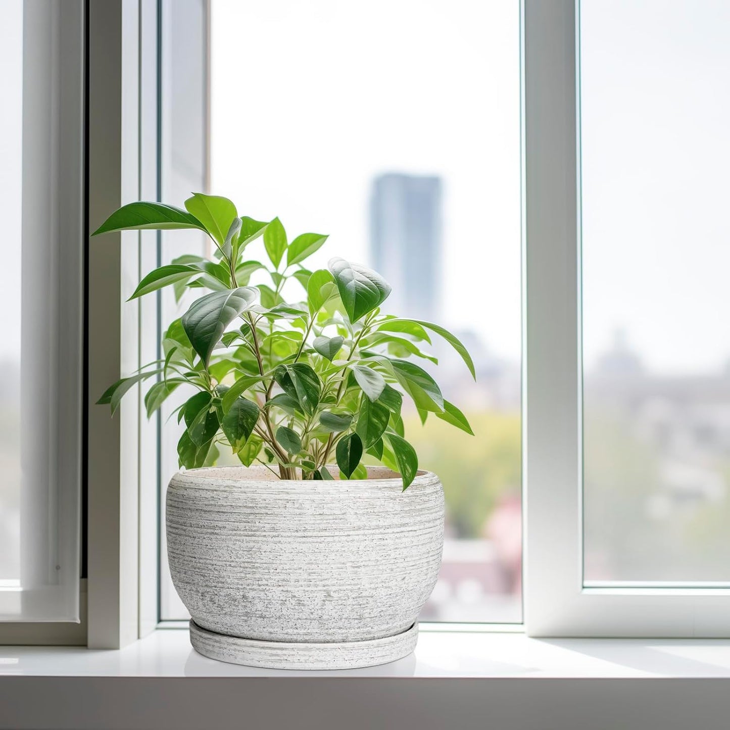 SQOWL Ceramic Flower Pots - 10 Inch Plant Pot Indoor with Drainage Hole and Saucer, Modern Ceramic Planter Outdoor, Decorative Large Round Planter, Bedroom Decor, Plant Lovers Gifts, Gray