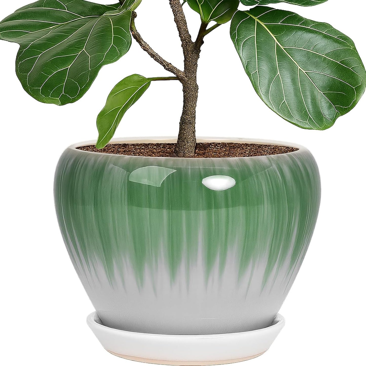 Deep Dream 10 Inch Plant Pot- Ceramic Planter Pot Round Plant Pots for Indoor Plants Outdoor Large Flower Pot with Drainage Holes & Trays, White&Green