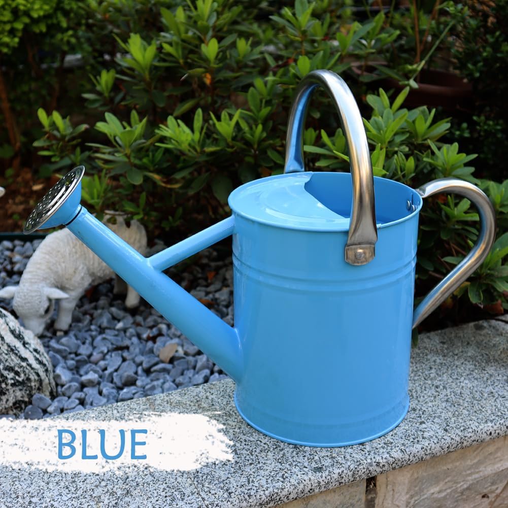 Metal Watering Can, One Gallon Watering Cans Stainless Steel for Outdoor Indoor Garden Plants Watering (Stainless Steel Handle Blue)