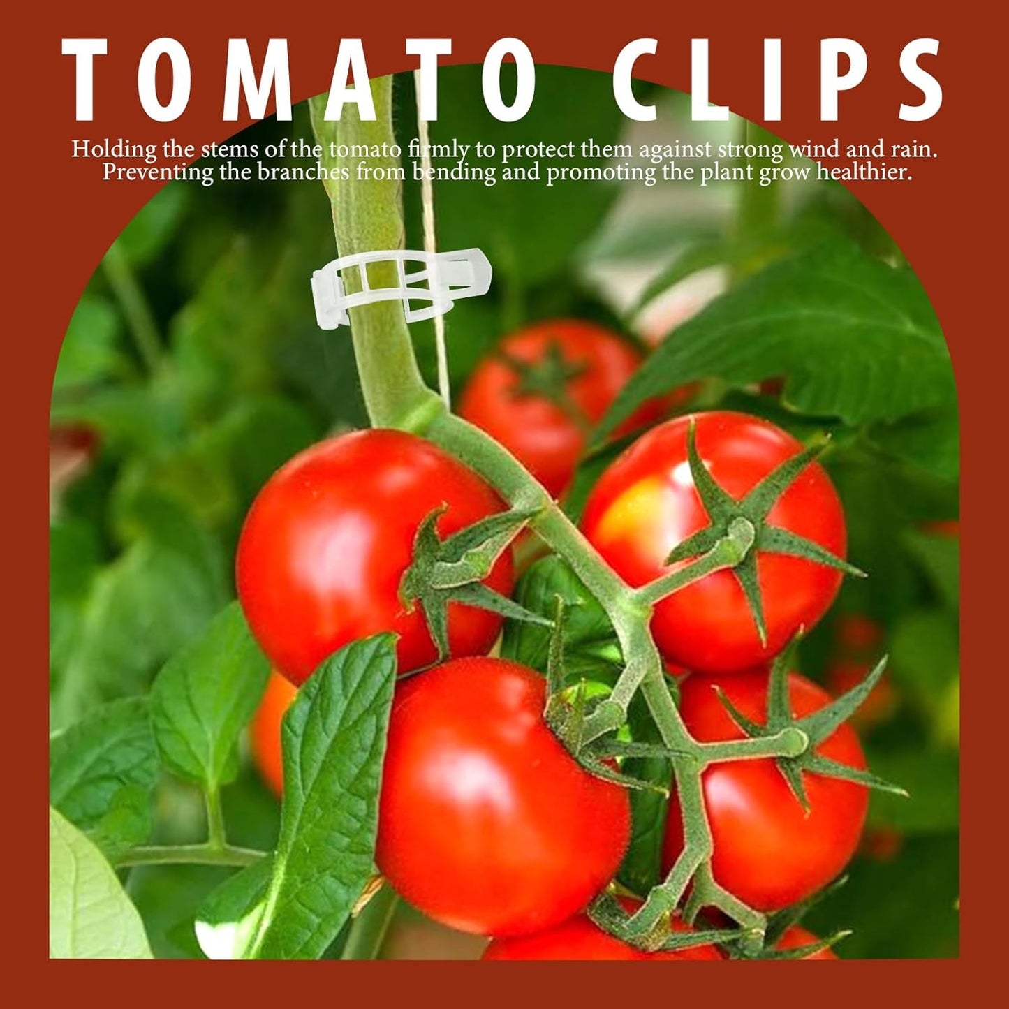 FANDAMEI 300 PCS Plant Support Clips, Plastic Garden Plant Ties, Tomato Clips Trellis for Tomato Cucumber Flower Squash Vine, 1” Inner Diameter for Climbing Plants