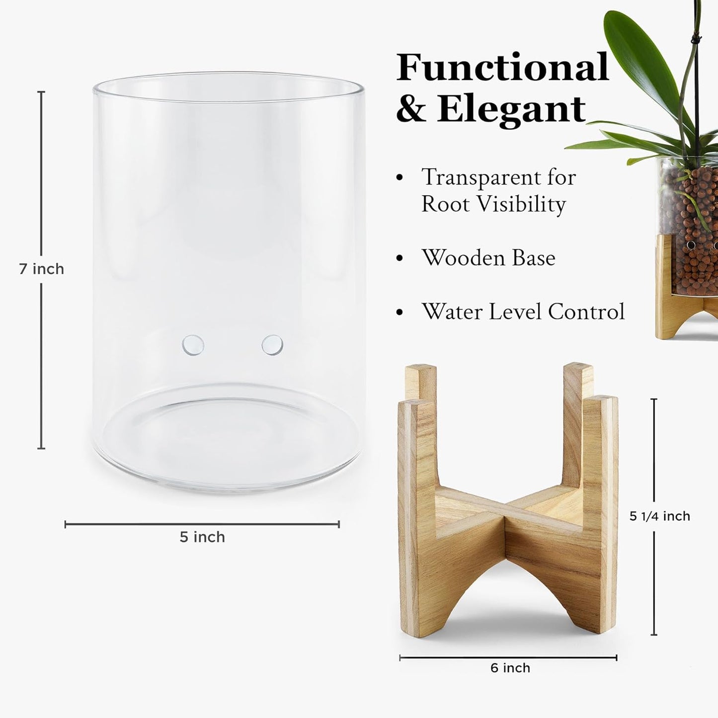 Pot & Pebble - C6 Glass Planter with Decorative Wood Base - Plant Propagation Station with Water Level Control - Plant Cutting Holder for LECA Clay Pebbles/Similar Media - Semi Hydroponic Planter