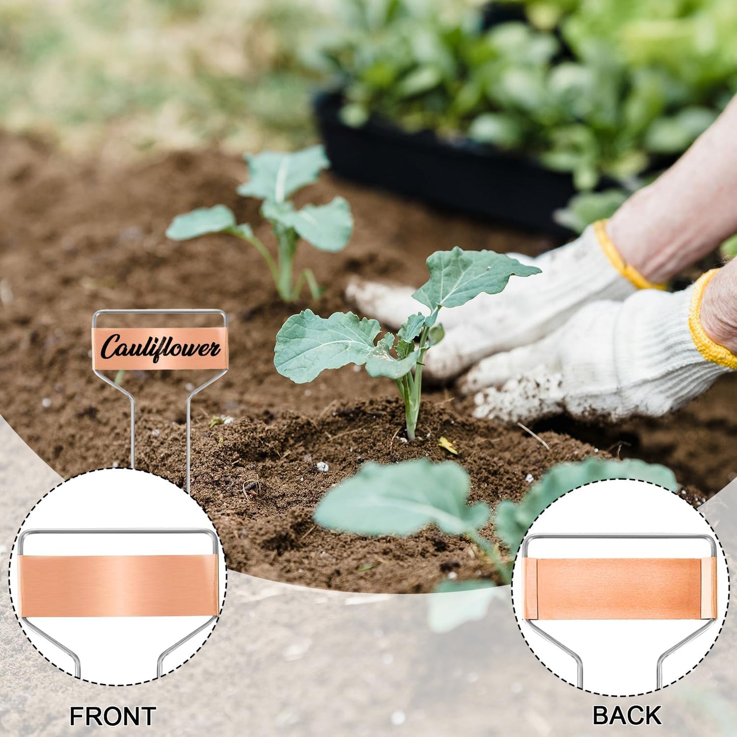 50 PCS Metal Plant Label Stakes Copper Metal Plant Tags 4 Inch Metal Garden Markers Waterproof Copper Plant Metal Labels with 2 Maker Pen for Flowers Garden Plant Vegetables Seedlings, Gold