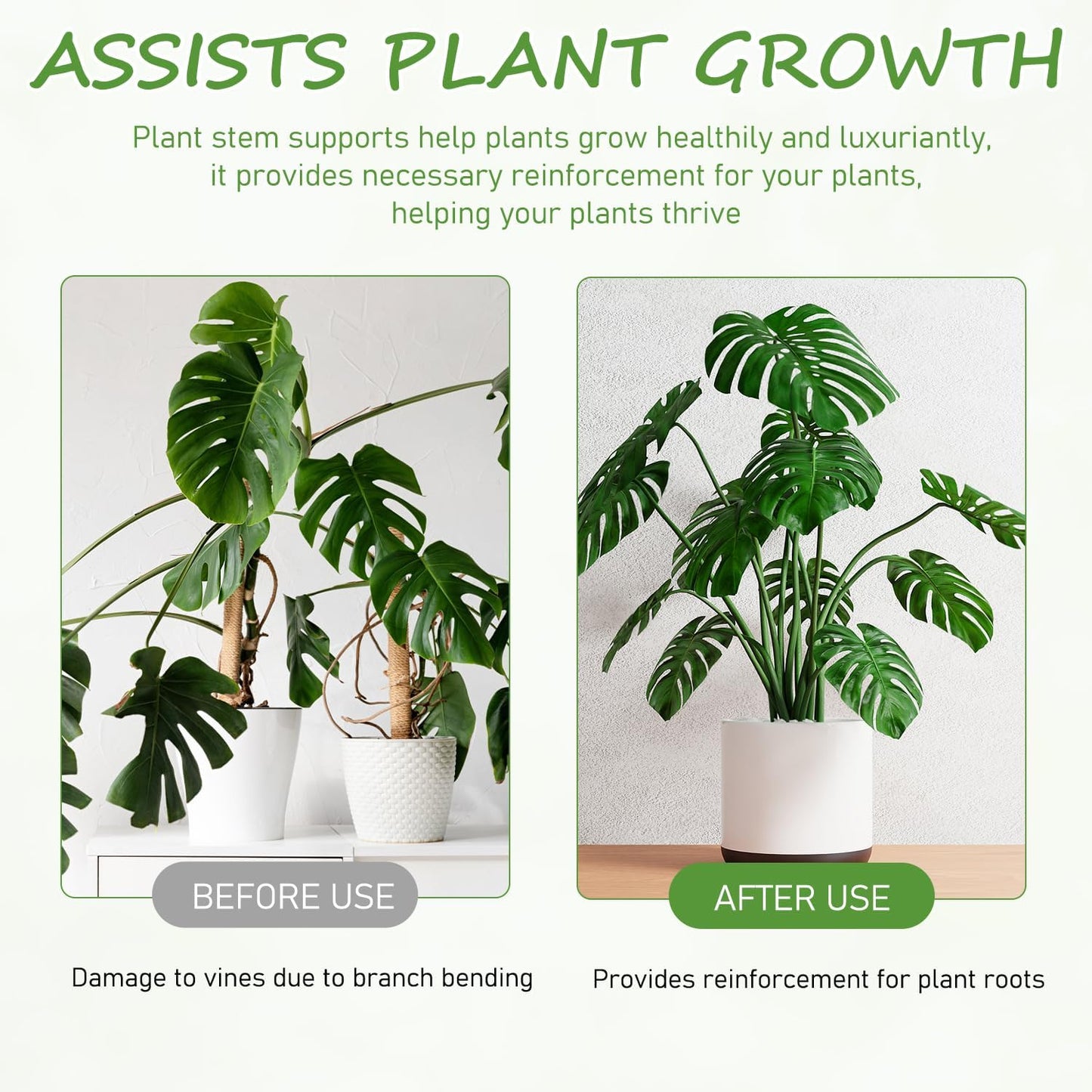 4-Pack Plant Stem Support, Plant Stabilizer for Indoor Plants, Monstera Plant Support System, Plant Stem Holder for Fixing Green Plants and Vines (B)