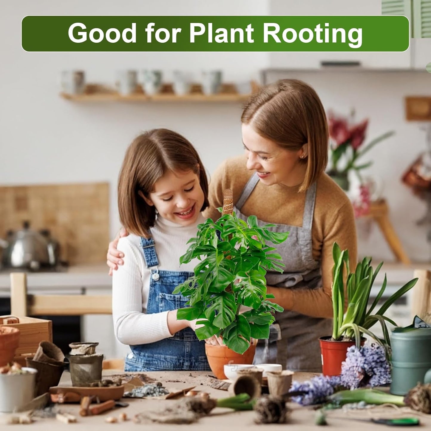 2 Pack 63'' Bendable Moss Pole Monstera Plant Support for Indoor Climbing Plants, Tall Plant Stick Support Stake for Potted Plants, Pothos, Philodendron