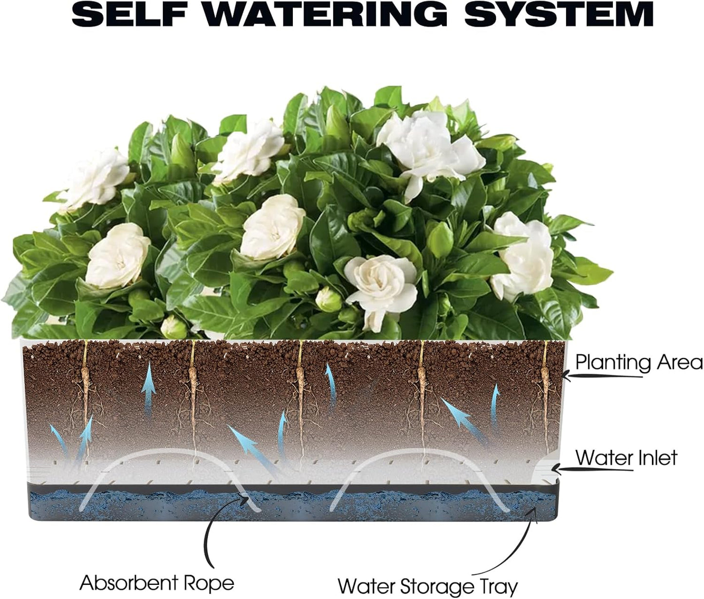 Self Watering Planters Pots for Indoor Plants, 2 Pack 17 Inch Plastic Planter Box Flower Pots for Indoor Outdoor Plants, Rectangle Herb Planter Window Boxes Planters with Drainage, Dark Gray Tray