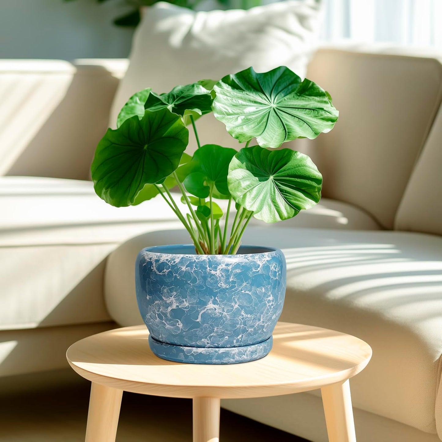 SQOWL Ceramic Pots for Plants - 8 Inch Ceramic Planter for Indoor Outdoor, Decorative Flower Pot with Drainage Hole and Saucer, Round Planter, Home Living Room Bathroom Decor, Plant Lover Gifts, Blue