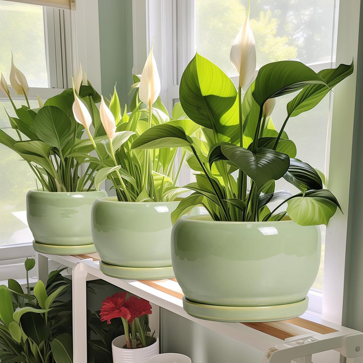 SQOWL Ceramic Pot for Plants - 6 Inch Planter for Indoor Outdoor Plants, Round Decorative Flower Pot with Drainage Hole and Saucer, Modern Small Planter, Patio Decor, Garden Gifts, Green