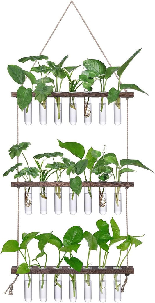 XXXFLOWER Wall Hanging Propagation Station with Wooden Stand 21 Glass Test Tubes 3 Tiered Planters Wall Terrarium for Home Office Plant Hanger Flower Vases Wall Decor Hydroponic Cuttings