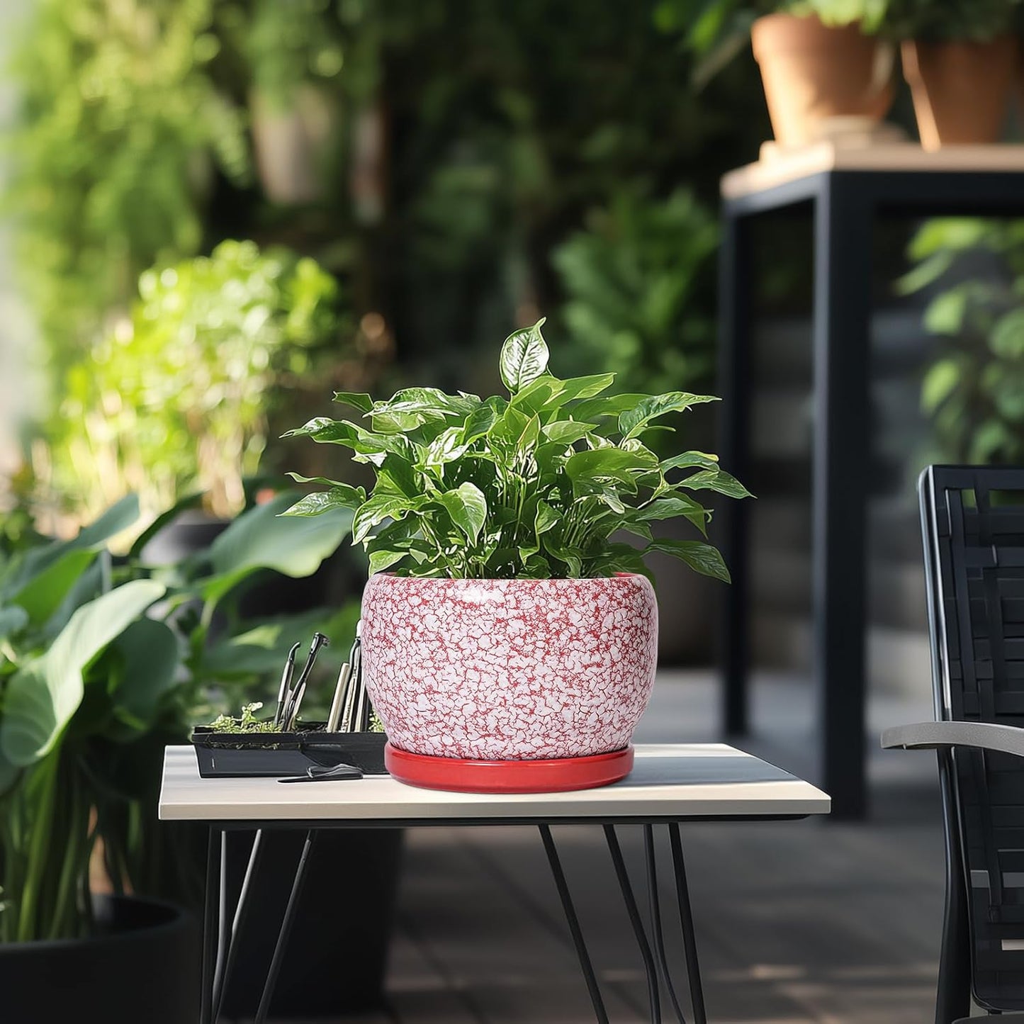 SQOWL Ceramic Pots for Plants - 8 inch Indoor Planter with Drainage Hole and Tray, Ceramic Flower Pot Outdoor, Round Decorative Planter, Bedroom Decor, Gifts for Plant Lovers, Red and White