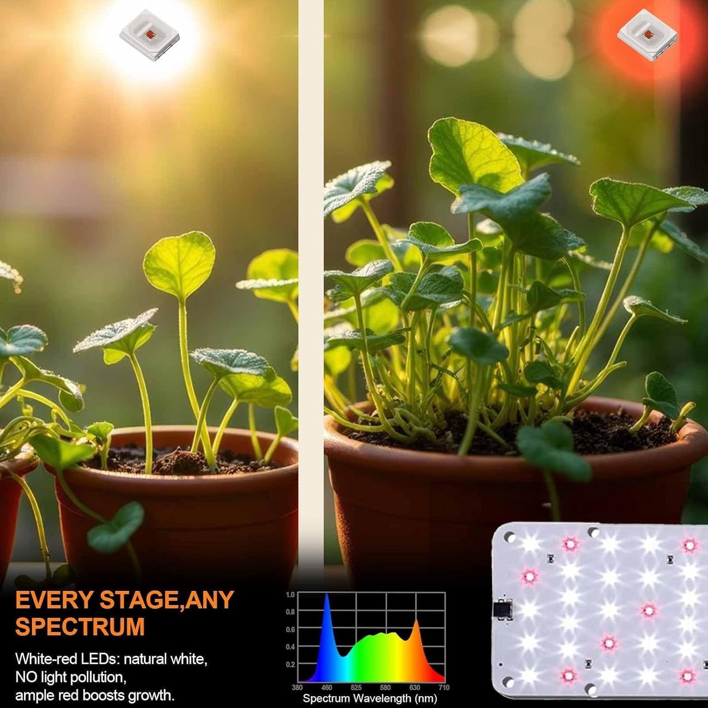 DOMMIA Grow Light, 20W Ultra-Thin Panel Grow Lights for Indoor Plants, High PPFD Full Spectrum, Dimmable, 6/12/16H Timer Auto on/Off, Suitable for Indoor Growing, Cold White 2-Pack