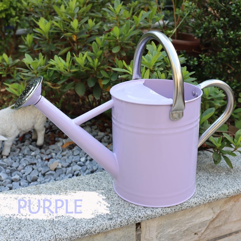 Metal Watering Can, One Gallon Watering Cans Stainless Steel for Outdoor Indoor Garden Plants Watering (Stainless Steel Handle Purple)