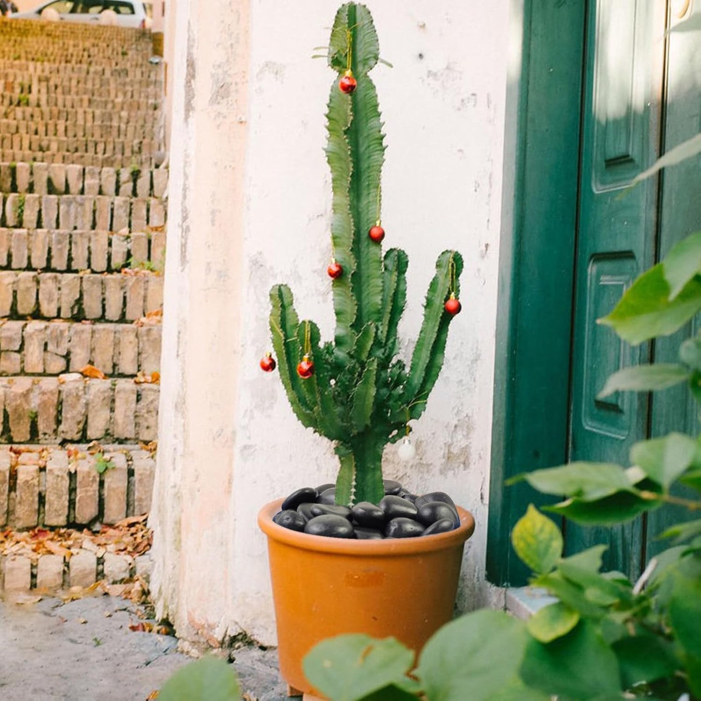 10 lbs Black Pebbles for Plants, 2-3 inch Large River Rocks for Plants, Decorative Stones for Planters Vase Aquarium Fish Tank and Outdoor Garden Landscaping