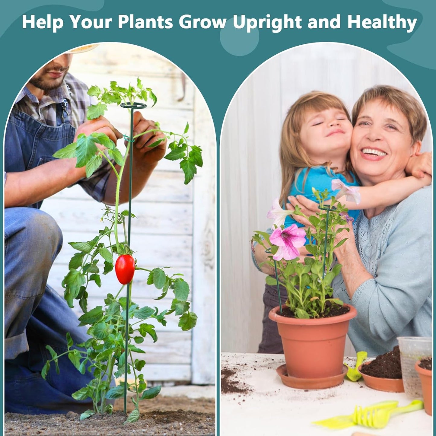 Plant Stakes for Indoor Outdoor Plants, 6 Packs 31.5 inches Plant Support Stakes with Twist Ties and Clips, Climbing Plant Sticks Garden Flower Stakes Support Hoops for Tomato, Pepper, Peony